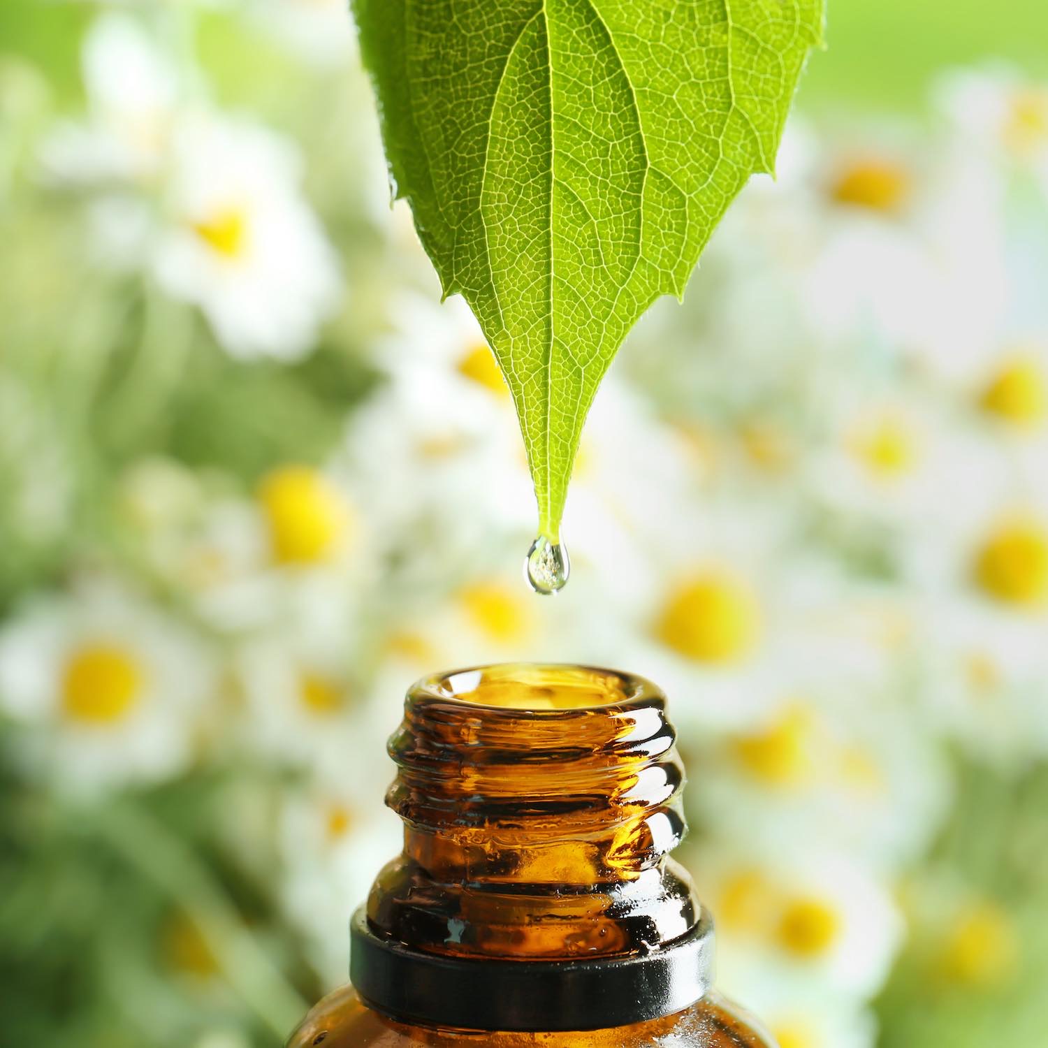 Aromathérapie Aromathérapie, Pharmacie de Cerizay